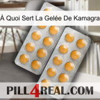 À Quoi Sert La Gelée De Kamagra levitra2